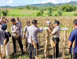 Besok, Kapolri-Mentan Berkunjung ke Bone, Bupati Cek Kesiapan di Lokasi Panen Raya