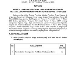Pengumuman: Seleksi Terbuka Pengisian Jabatan Pimpinan Tinggi Pratama Lingkup Pemerintah Kabupaten Bone Tahun 2025