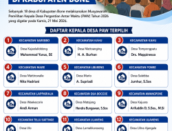 18 Desa di Bone Gelar Pilkades PAW 2026, Ini Daftar Kades Terpilih