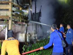 Kebakaran Kandang Sapi Gegerkan Warga Cellu, Penyebab Masih Diselidiki